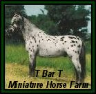 T Bar T Miniature Horse Farm